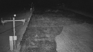 TJ Němčičky - Svah - 19.3.2026 v 02:55