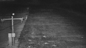 TJ Němčičky - Svah - 5.4.2026 v 03:55 TJ Němčičky - Svah - 5.4.2026 v 03:55