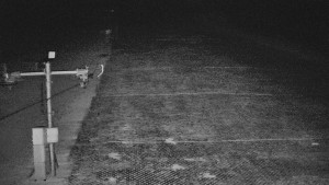 TJ Němčičky - Svah - 7.4.2026 v 00:55