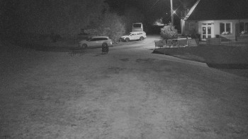 Snímek    13.9.2025 v 03:30