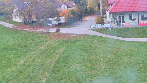 TJ Němčičky - Nástupní stanice - 19.10.2025 v 17:30