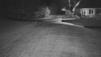 Snímek    24.10.2025 v 03:30