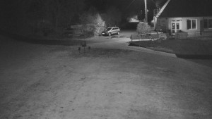 TJ Němčičky - Nástupní stanice - 28.10.2025 v 03:30