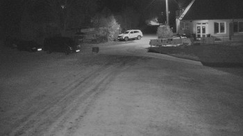 Snímek    31.10.2025 v 20:00