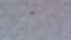 TJ Němčičky - Nástupní stanice - 27.12.2025 v 07:30