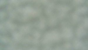 TJ Němčičky - Nástupní stanice - 27.12.2025 v 08:00