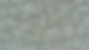 TJ Němčičky - Nástupní stanice - 27.12.2025 v 08:30