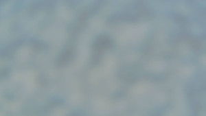 TJ Němčičky - Nástupní stanice - 27.12.2025 v 09:00