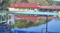 Koupaliště