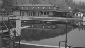 TJ Němčičky - Koupaliště - 15.11.2025 v 06:30 TJ Němčičky - Koupaliště - 15.11.2025 v 06:30