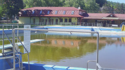 Koupaliště