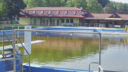 Koupaliště
