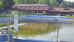 Koupaliště