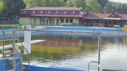 Koupaliště