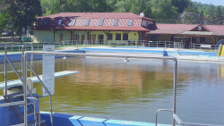 Koupaliště