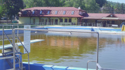 Koupaliště