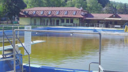 Koupaliště