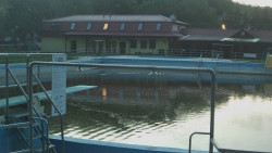 Koupaliště