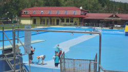 Koupaliště