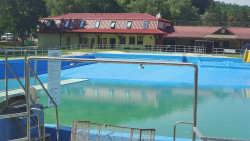 Koupaliště