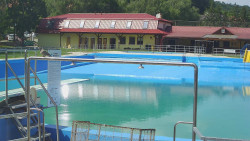 Koupaliště