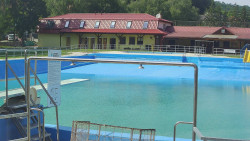 Koupaliště