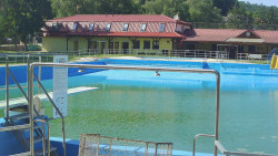 Koupaliště