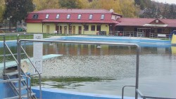 Koupaliště