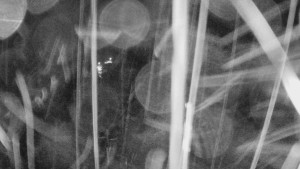 Skiareál Mezivodí - Ski Mezivodí  - 4.2.2024 v 20:00