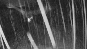 Skiareál Mezivodí - Ski Mezivodí  - 11.2.2024 v 18:00