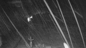 Skiareál Mezivodí - Ski Mezivodí  - 11.2.2024 v 22:00