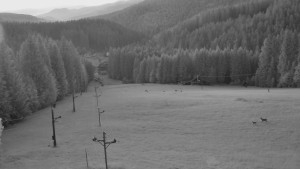 Skiareál Mezivodí - Ski Mezivodí  - 15.6.2025 v 03:55