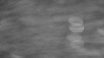 Snímek    13.9.2025 v 04:50