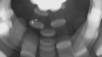 Snímek    13.9.2025 v 22:05