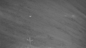 Skiareál Mezivodí - Ski Mezivodí  - 23.12.2025 v 03:25