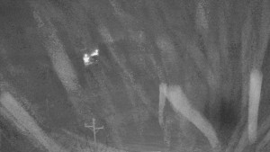 Skiareál Mezivodí - Ski Mezivodí  - 23.12.2025 v 19:15