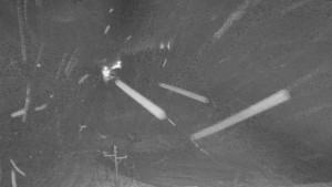 Skiareál Mezivodí - Ski Mezivodí  - 23.12.2025 v 22:00