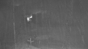 Skiareál Mezivodí - Ski Mezivodí  - 23.12.2025 v 22:20