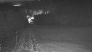 Skiareál Mezivodí - Ski Mezivodí  - 21.2.2026 v 04:45