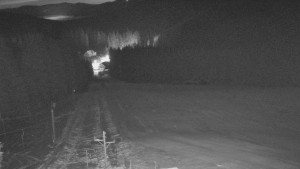 Skiareál Mezivodí - Ski Mezivodí  - 21.2.2026 v 05:10