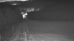 Skiareál Mezivodí - Ski Mezivodí  - 21.2.2026 v 05:25