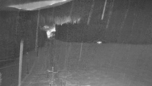 Skiareál Mezivodí - Ski Mezivodí  - 21.2.2026 v 20:05