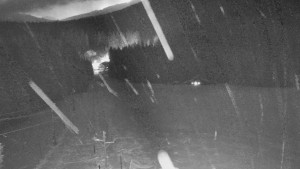 Skiareál Mezivodí - Ski Mezivodí  - 21.2.2026 v 20:30