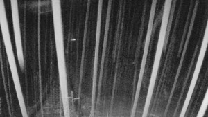 Skiareál Mezivodí - Ski Mezivodí - 23.2.2026 v 02:55 Skiareál Mezivodí - Ski Mezivodí - 23.2.2026 v 02:55