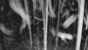 Skiareál Mezivodí - Ski Mezivodí - 23.2.2026 v 03:55 Skiareál Mezivodí - Ski Mezivodí - 23.2.2026 v 03:55