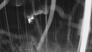 Skiareál Mezivodí - Ski Mezivodí - 23.2.2026 v 04:55 Skiareál Mezivodí - Ski Mezivodí - 23.2.2026 v 04:55