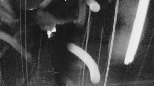 Skiareál Mezivodí - Ski Mezivodí - 23.2.2026 v 05:15 Skiareál Mezivodí - Ski Mezivodí - 23.2.2026 v 05:15