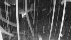 Skiareál Mezivodí - Ski Mezivodí - 23.2.2026 v 05:40 Skiareál Mezivodí - Ski Mezivodí - 23.2.2026 v 05:40