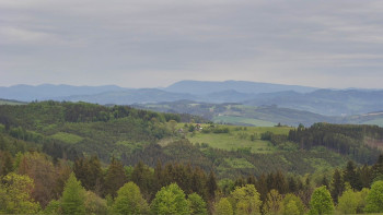 Snímek    10.5.2025 v 08:00