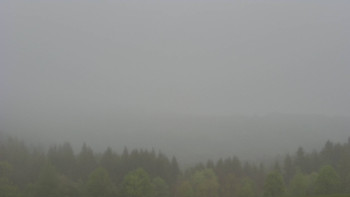 Snímek    11.5.2025 v 06:30